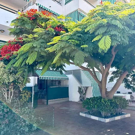 Apartman Surycan 007