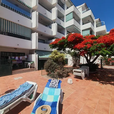 Apartment Surycan 007 *