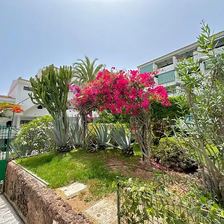 アパート Surycan 007 *