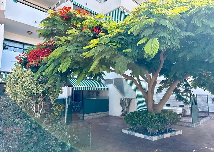 Apartmán Surycan 007